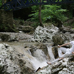Сергей, 37