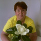 OLGA, 61 (1 , 0 )