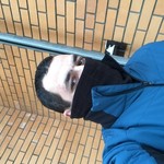 Максим, 36