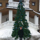 НЕЛЯ, 41