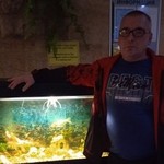 , 52 (3 , 0 )